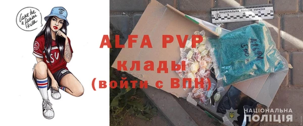 стафф Новозыбков