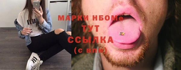 стафф Новозыбков