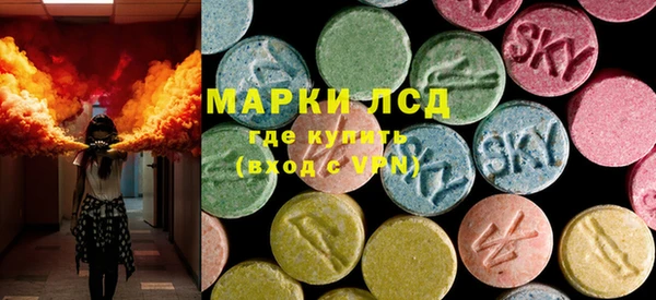 стафф Новозыбков