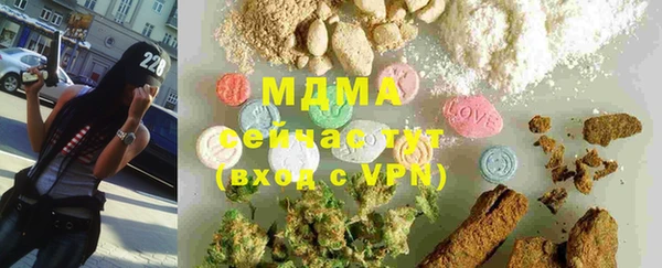 стафф Новозыбков