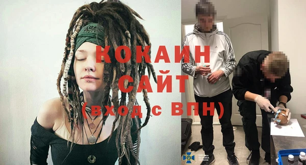 стафф Новозыбков