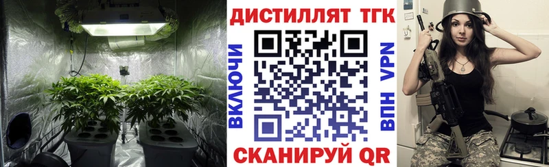 Дистиллят ТГК Wax  Аргун 