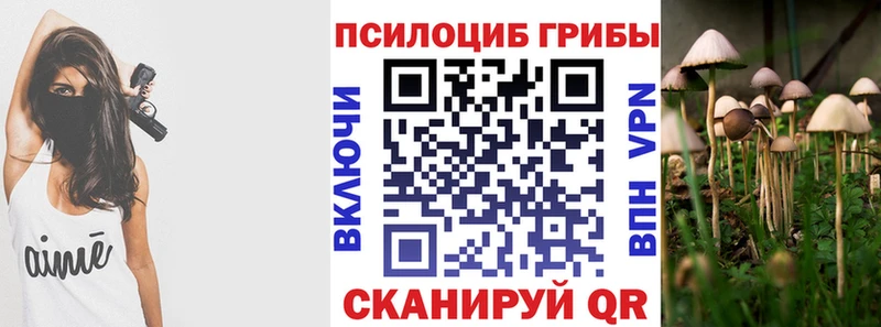 наркота  Аргун  Псилоцибиновые грибы Magic Shrooms 