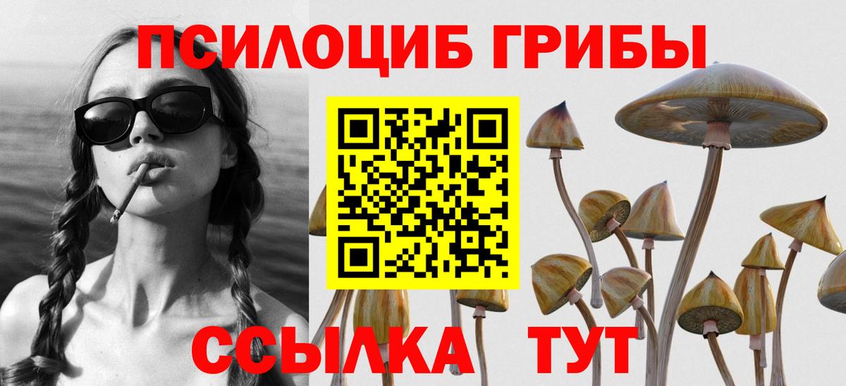 Псилоцибиновые грибы мицелий  Аргун 