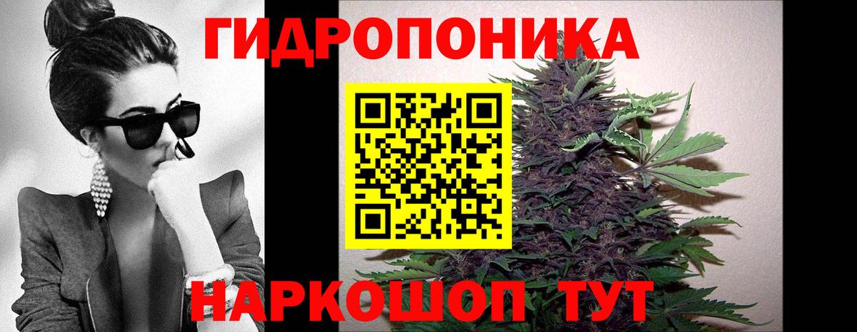 Канабис индика Аргун